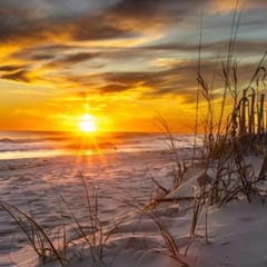 Sunchase 208
