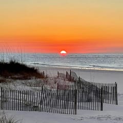 SunChase 307